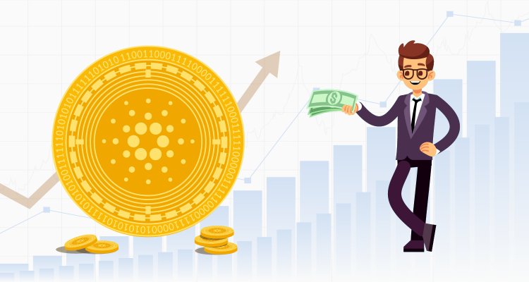 پیش بینی قیمت کاردانو