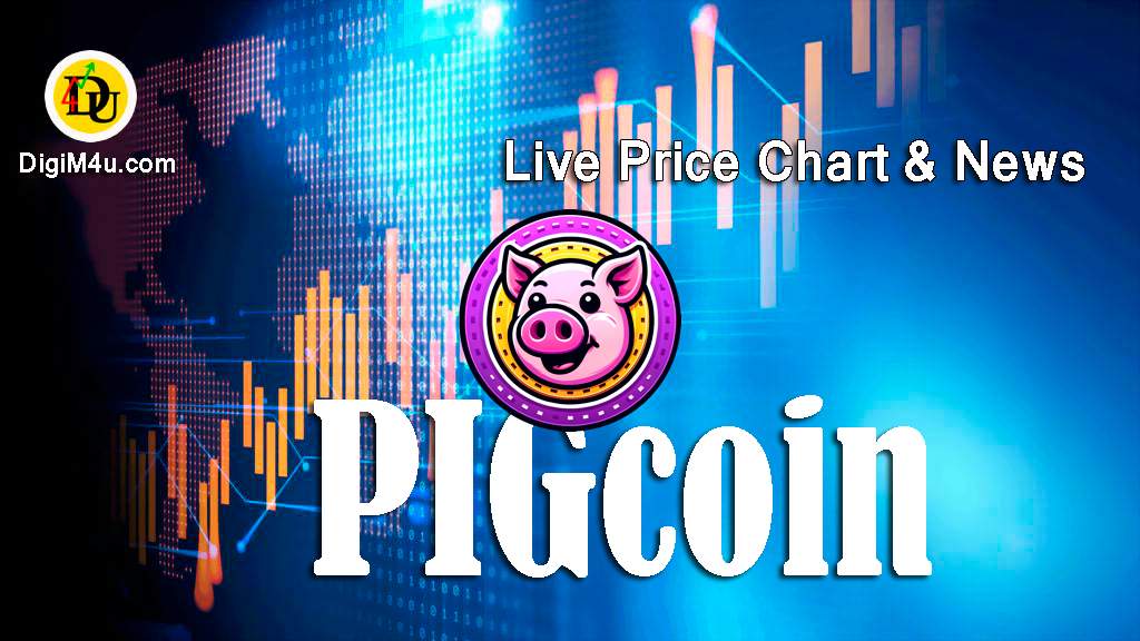 تحليل تکنيکال ارز پیگکوین PIGCLOIN با نماد PigCoin