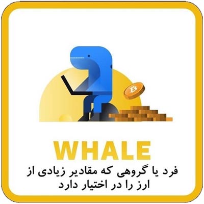 Whale