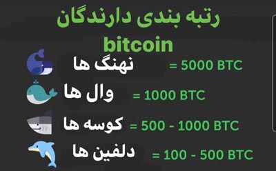 رتبه بندی نهنگ های بازار ارز دیجیتال