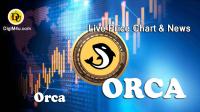تحليل تکنيکال ارز اورکا Orca با نماد ORCA