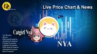 تحليل تکنيکال ارز کت گرل Catgirl با نماد NYA