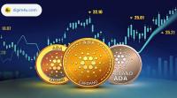 بازار کاردانو و آینده قیمت آن