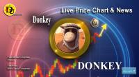 تحليل تکنيکال ارز دانکی Donkey با نماد DONKEY