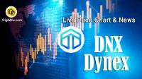 تحليل تکنيکال ارز داینکس Dynex با نماد DNX