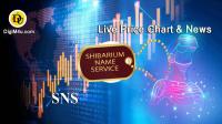 تحلیل سرویس نام دامنه شیباریوم SNS