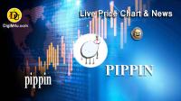 تحليل تکنيکال ارز پیپین pippin با نماد PIPPIN