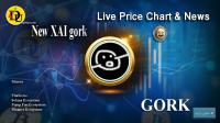 تحليل تکنيکال ارز گورک نیو ایکس ای آی New XAI gork با نماد GORK