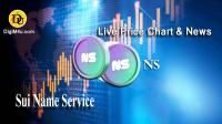 تحليل تکنيکال ارز سویی نیم سرویس Sui Name Service با نماد NS