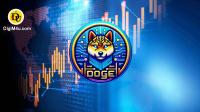 تحليل تکنيکال ارز دوج ای آی DogeAI با نماد DogeAI