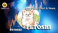 تحليل تکنيکال ارز پتوشی Petoshi با نماد PETOSHI