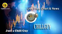 تحليل تکنيکال ارز چیلگای Just a Chill Guy با نماد CHILLGUY