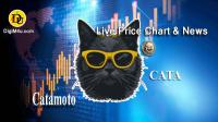 تحليل تکنيکال ارز کاتاموتو Catamoto با نماد CATA