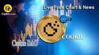 تحليل تکنيکال ارز کوکی Cookie DAO با نماد COOKIE