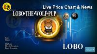 تحليل تکنيکال ارز لوبو LOBO•THE•WOLF•PUP با نماد LOBO