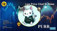 تحليل تکنيکال ارز دیجیتال پر Purr با نماد PURR