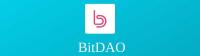 ارز دیجیتال منتل BitDAO در یک نگاه